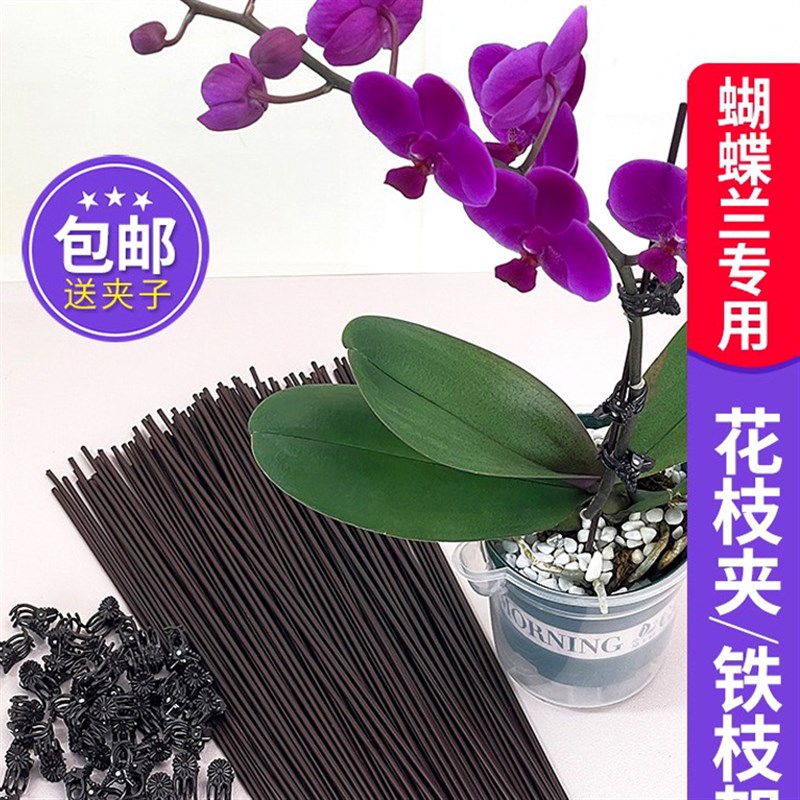 蝴蝶兰支架夹子固定爬藤类造型铁丝防倒伏园艺花卉植物支撑杆花架