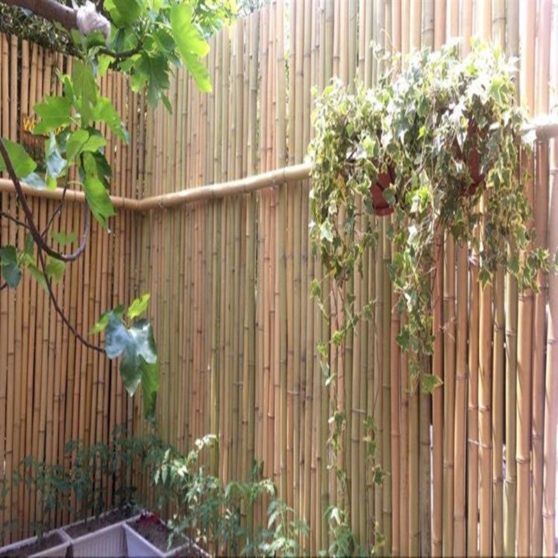 竹篱笆户外花园围栏墙庭院隔断田园栅栏院子阳台装饰护栏屏风竹子,个性定制/设计服务/DIY,明信片定制,淘宝优惠券,粉丝福利购,淘宝优惠卷