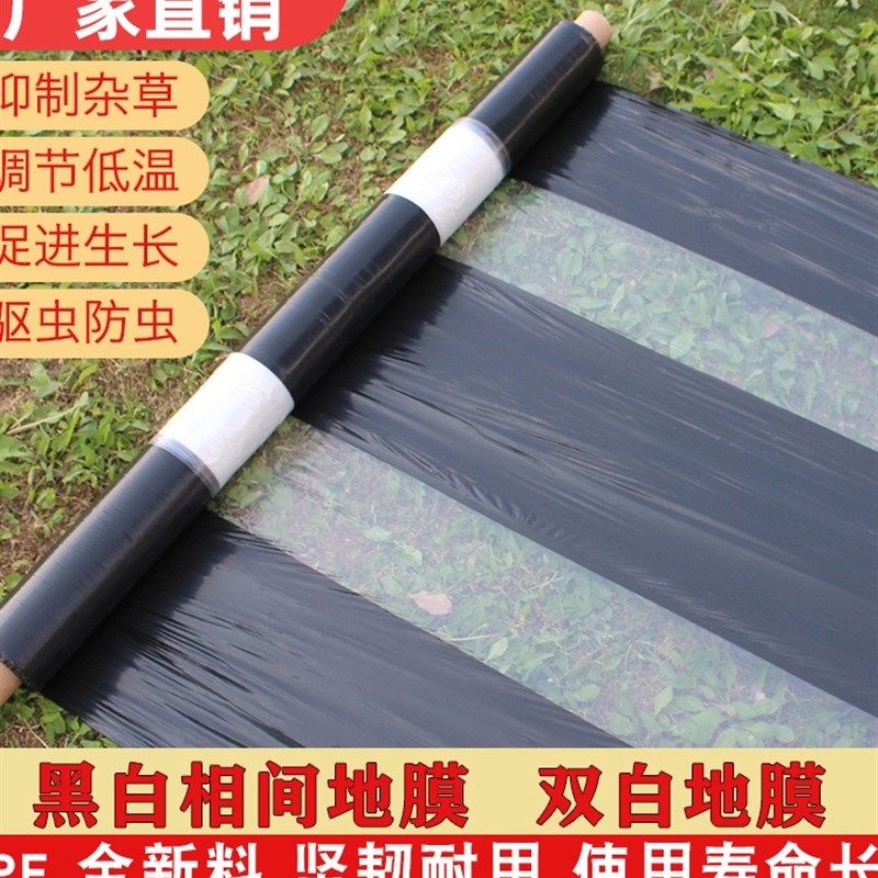 农用加厚黑白相间地膜单道白双道白E保温保湿除草种地种菜大棚保