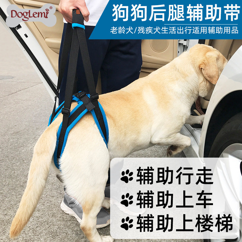 跨境宠物腿部背带走路支架狗腿护带后腿残疾受伤高老龄狗狗辅助带