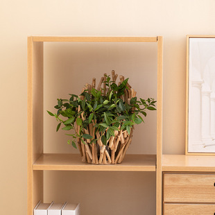 读途木质花瓶简约现代玻璃装饰客厅桌面干花仿真花插花摆件高级感