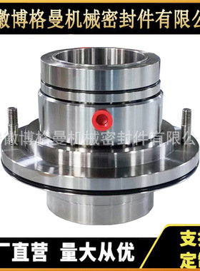 B173机械密封 渣浆泵机械密封 无冲洗机械密封 外装式机械密封