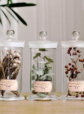 植物标本中药材标本中草药标本复古简约北欧家居软装样板房摆件