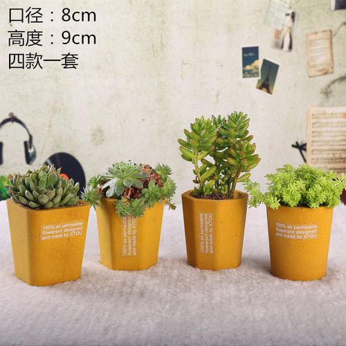XTOU多孔陶瓷花盆 会呼吸的多肉植物专用盆 小清新风格