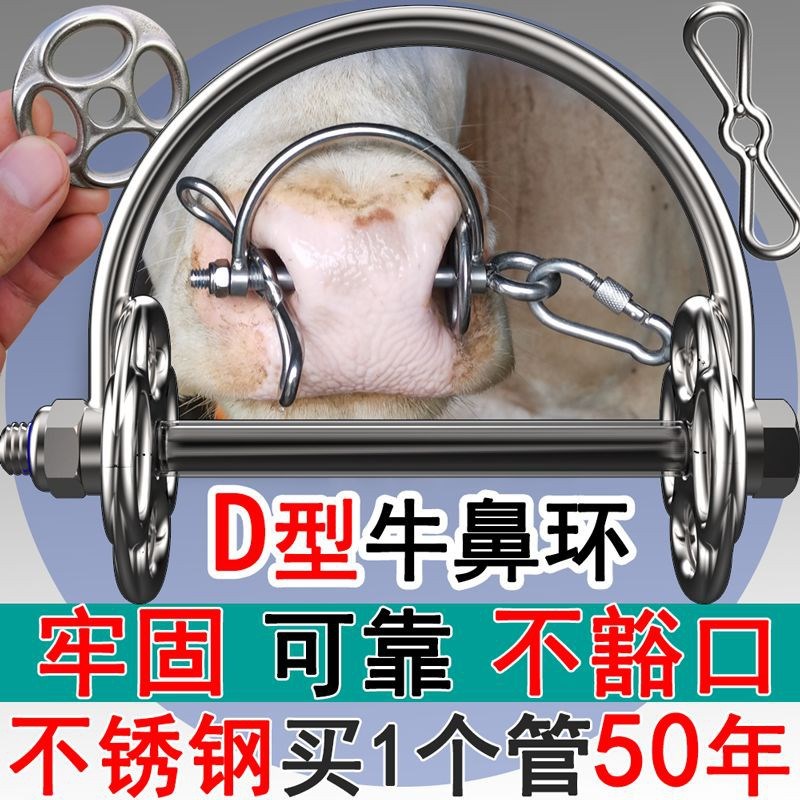 加强新款不锈钢D型牛鼻环牛鼻圈牛鼻钳子特大号母牛牛鼻子牵引扣