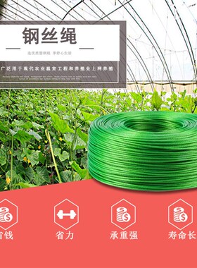 绿皮钢丝绳带皮 包塑钢丝绳 晾衣绳 涂塑W钢丝绳下井绳