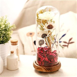 创意家居干花瓣松果复古放映相机缝纫电话留声机R微景观玻璃罩摆
