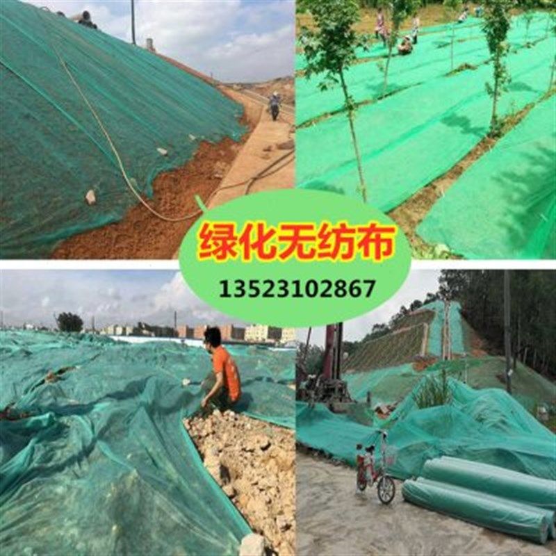 植草籽覆盖膜农用无纺布r整卷加厚园林绿化绿色透气膜草坪土工布,鲜花速递/花卉仿真/绿植园艺,其它园艺用品,淘宝优惠券,粉丝福利购,淘宝优惠卷