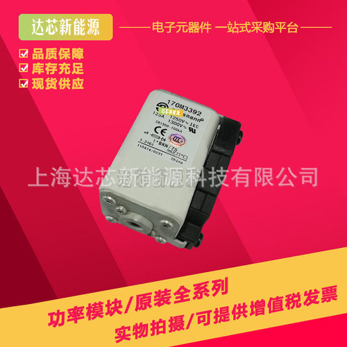 170M3518 170M3519 170M3520 170M3521 170M3522 170M3523熔断器