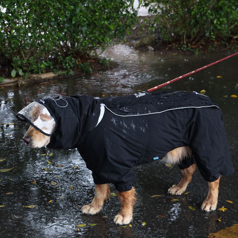 宠生活狗狗雨衣防水防泼全包尾巴大型犬金毛户外萨摩耶四脚雨衣