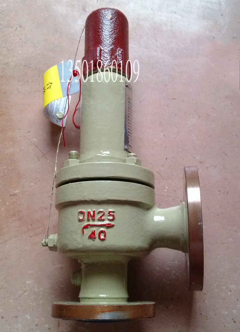 A42F-40C 液化石油气安全回流阀 DN20 25 32 40 50 65 80 100 200