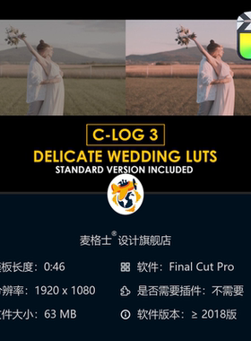佳能CLog3婚礼电影感调色预设与专业LUT合集 支持FCPX视频剪辑