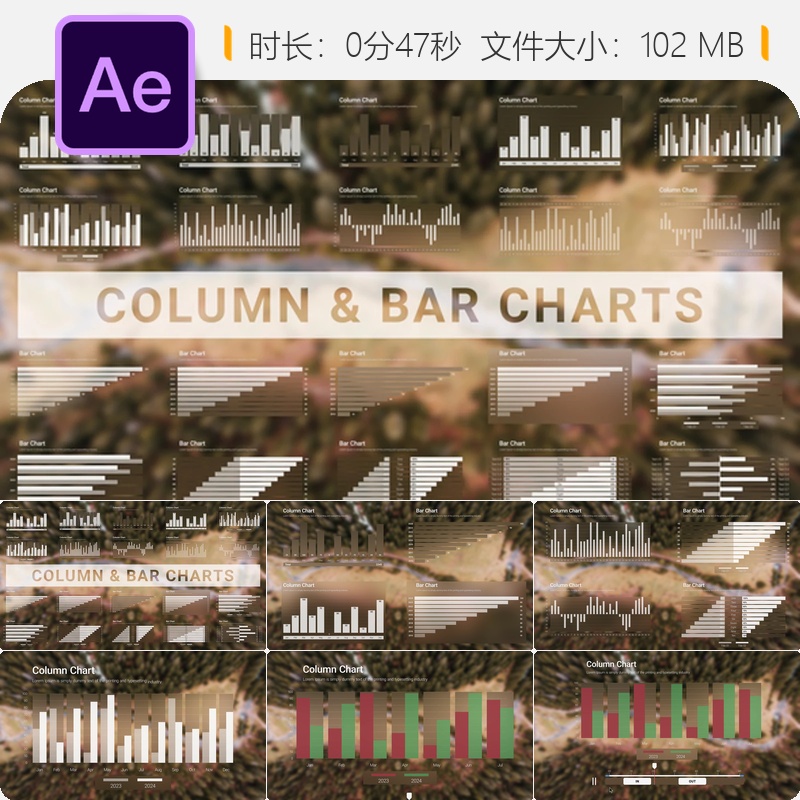 AE模板动态信息图表商业数据可视化柱状图饼图动画元素设计制作