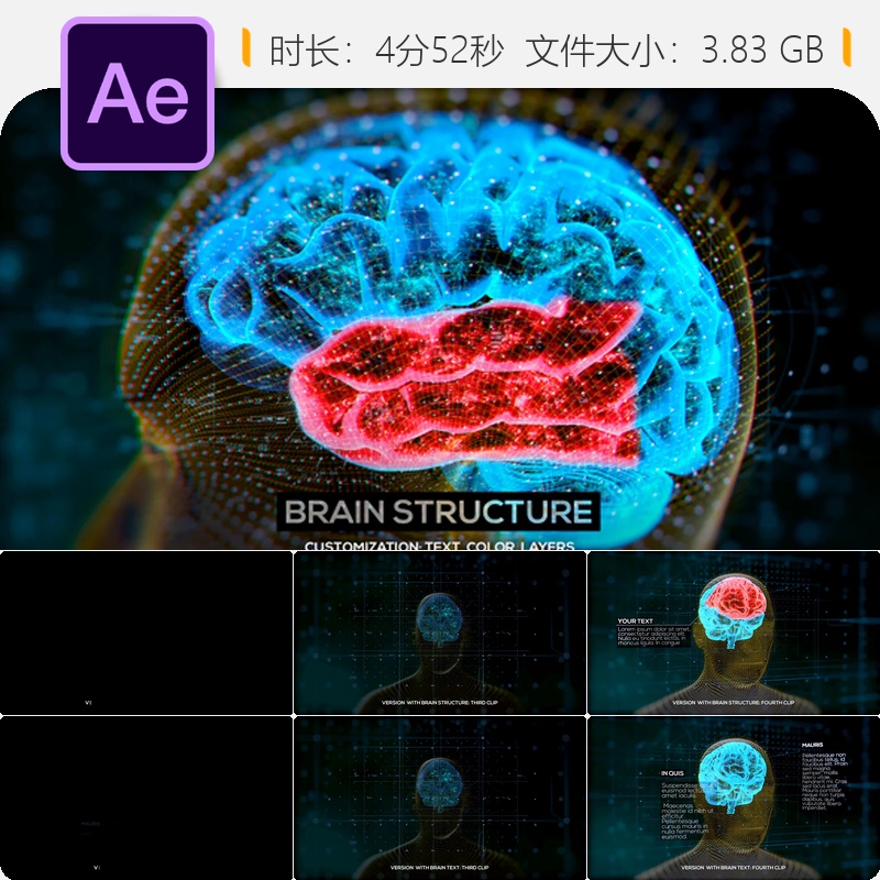 AE模板人脑解剖医学科技神经元动画4K素材医院诊所生物科学脑结构