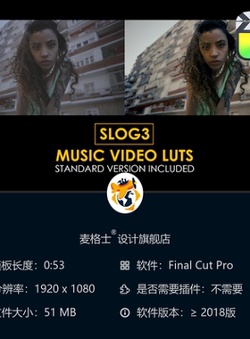 Canon Slog3专业电影感调色LUT预设合集 支持FCPX与达芬奇