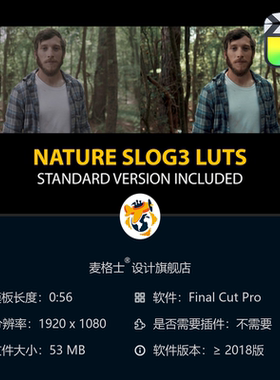 Slog3自然与标准色彩LUT调色预设FCPX影视级电影风格调色方案