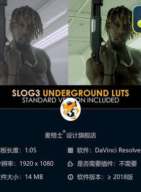 达芬奇专业电影感Slog3调色LUT预设地下与标准双版本