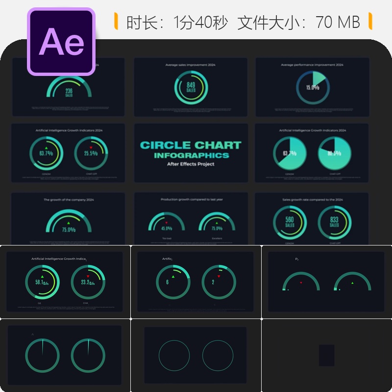 加密货币数据图表AE模板经济分析圆形信息图国家货币统计元素