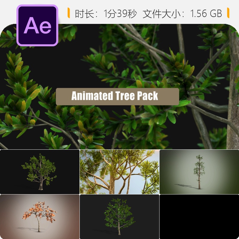 AE模板热带植物3D树木动画素材包含无花果叶切片效果和红黄树叶