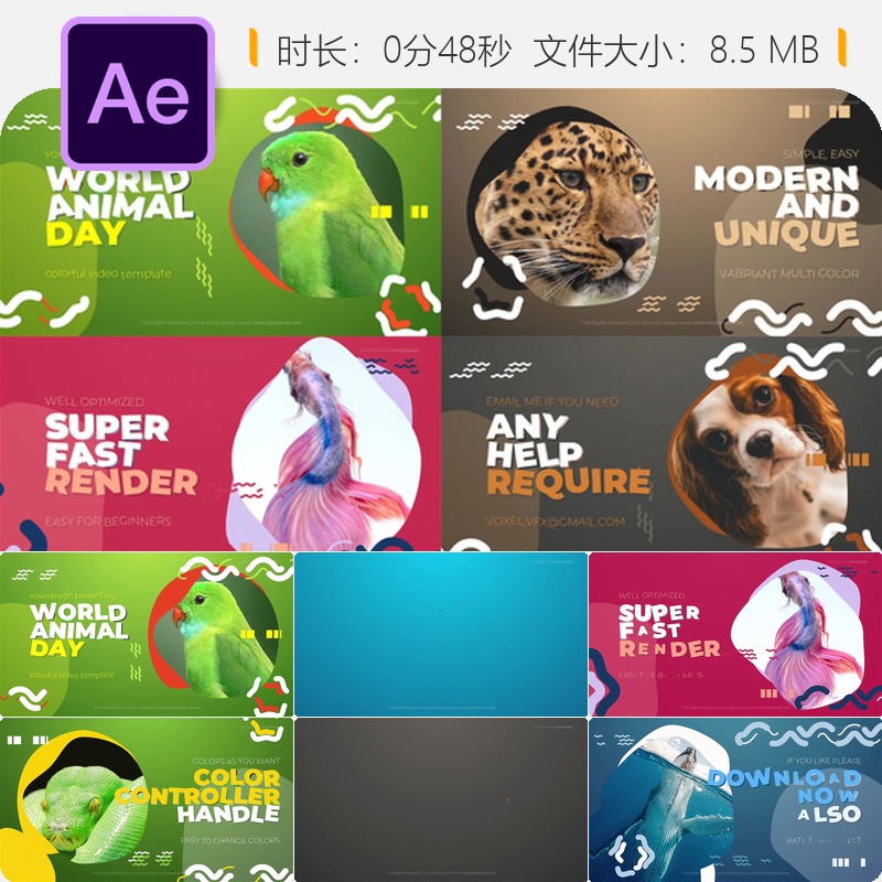 世界动物日AE开场模板宠物纪录片动画情感色彩设计4K高清片头