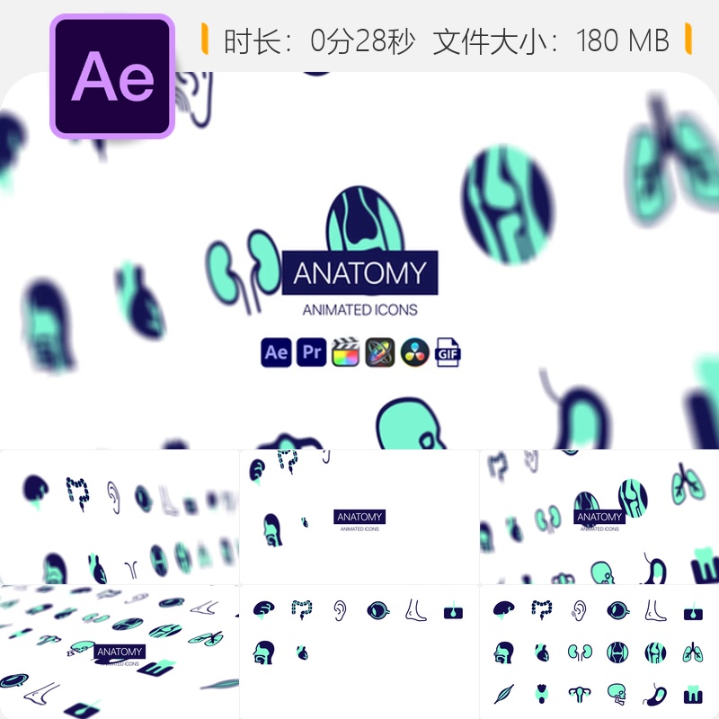 人体解剖动画图标AE模板医疗教育信息图表元素设计素材资源合集