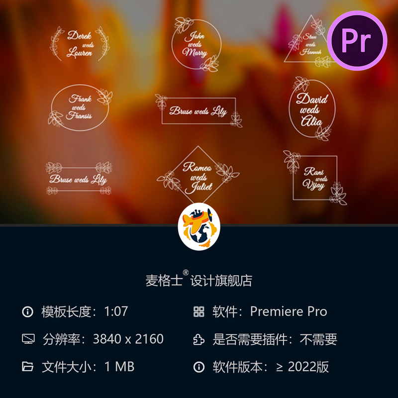 婚礼动画PR模板 经典电影感装饰元素合集 边框徽章动态设计素材
