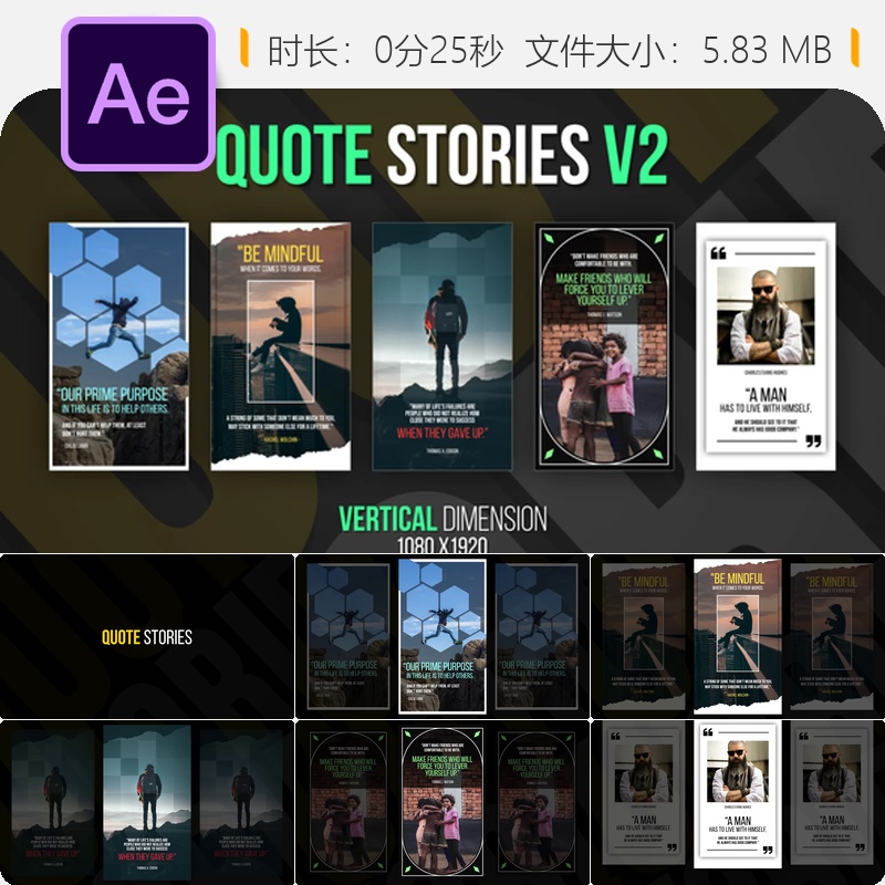 垂直引用故事AE模板时尚优雅画廊展示企业品牌宣传视频设计集