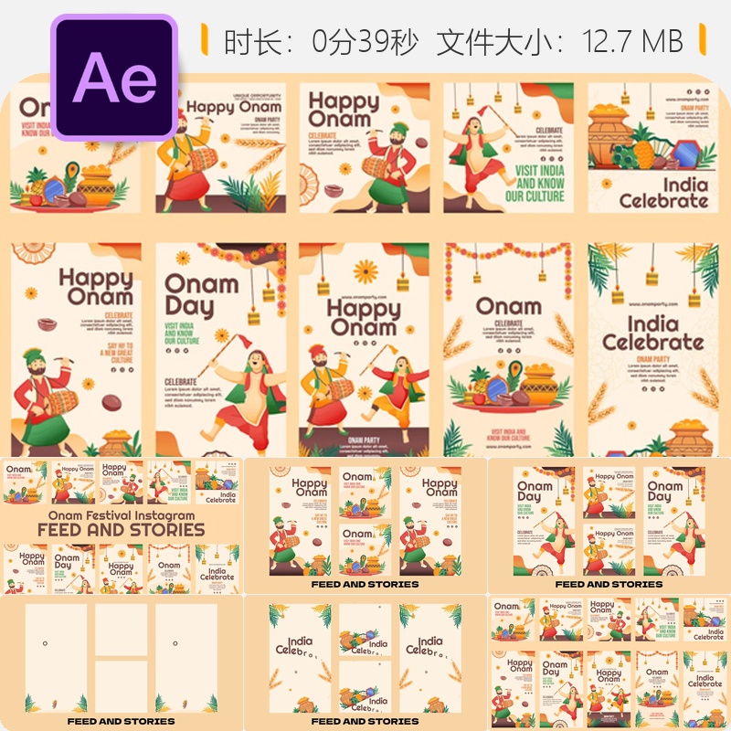 Onam节庆AE模板印度Instagram故事包装动画视频素材节日庆典合集