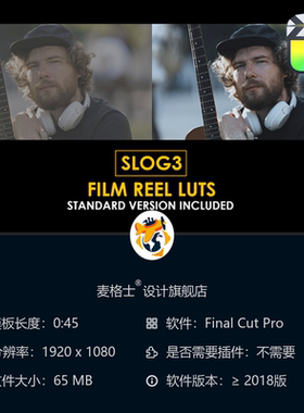 Slog3电影胶片专业调色LUT预设包 兼容FCPX达芬奇影视级色彩方案