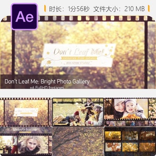 复古秋日婚礼AE模板照片画廊视频展示怀旧相册影片制作模板集