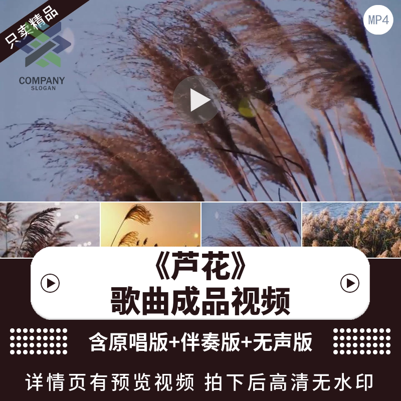 芦花歌曲配乐成品芦苇风景唯美梦幻led大屏幕舞蹈场背景视频素材