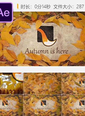 秋叶飘落石头标志AE模板4K自然季节风树黄色LOGO动画效果展示