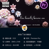 浪漫婚礼邀请函PR模板优雅花卉元 素影视级开场片头婚礼视频制作