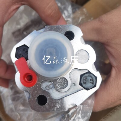 SDH大众液压齿轮泵CBD-F202.1L1BL-BA液压油泵CBDa-F10.38L1B-BA