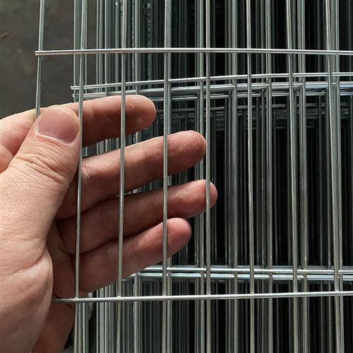 鸽棚加密鸽舍地围网镀锌电焊网片养殖网长孔格网铁丝网鸽子防护网