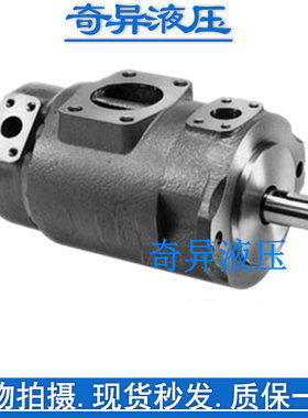 SQP42-60-15-1AA DD-18 14 12 10 BB 86日本东京计器CCTOKIMEC