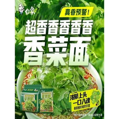 香菜面食用自然手工鲜香白象