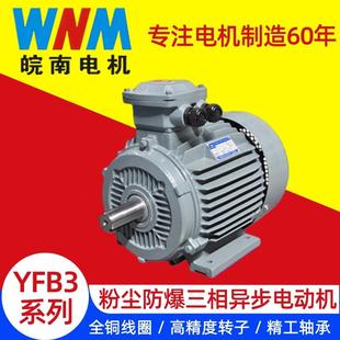安徽皖南YFB3系列 粉尘防爆三相异步电机 三级能效 全铜线圈