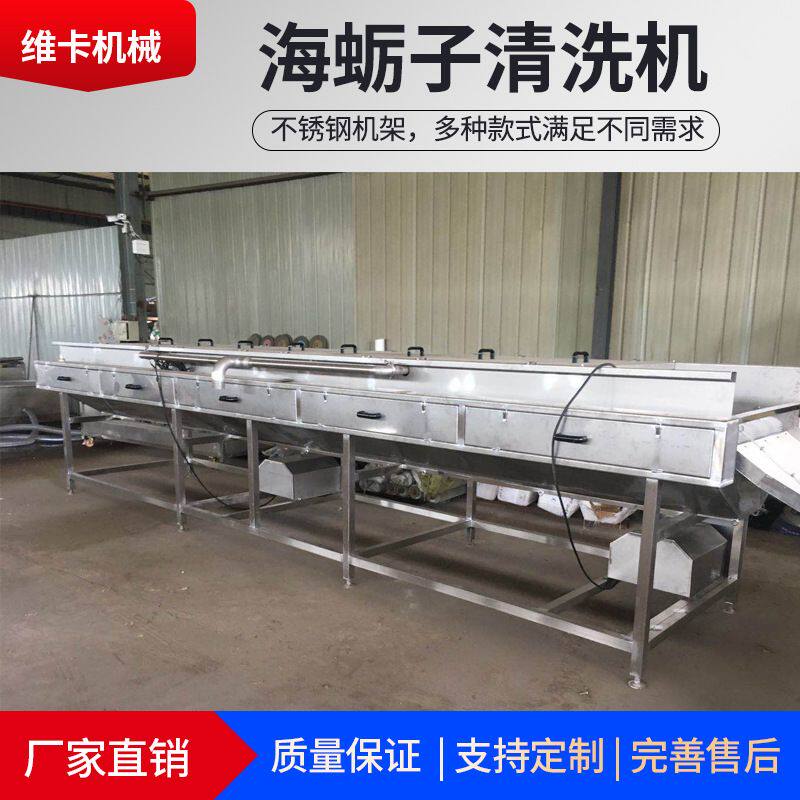 维卡机械大型平辊清洗机 海蛎子清洗机 水产品清洗机厂家定制加工