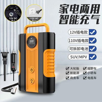 AC/DC汽车充气泵交流110-230V打气泵直流12V双电源气泵车载充气泵