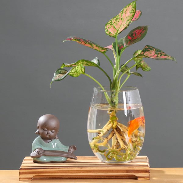 玻璃创意中国风盆鲜花绿萝水培花瓶室内水养植物器鱼缸透明小皿