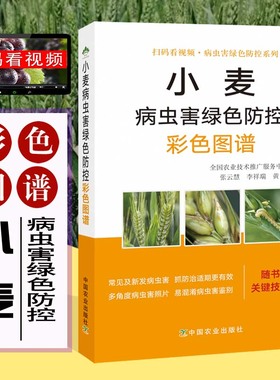 小麦病虫害绿色防控彩色图谱 病虫害绿色防控系列 小麦病虫害绿色防控 麦田管理书 小麦生长异常诊治 病害识别及绿色防治技术书籍