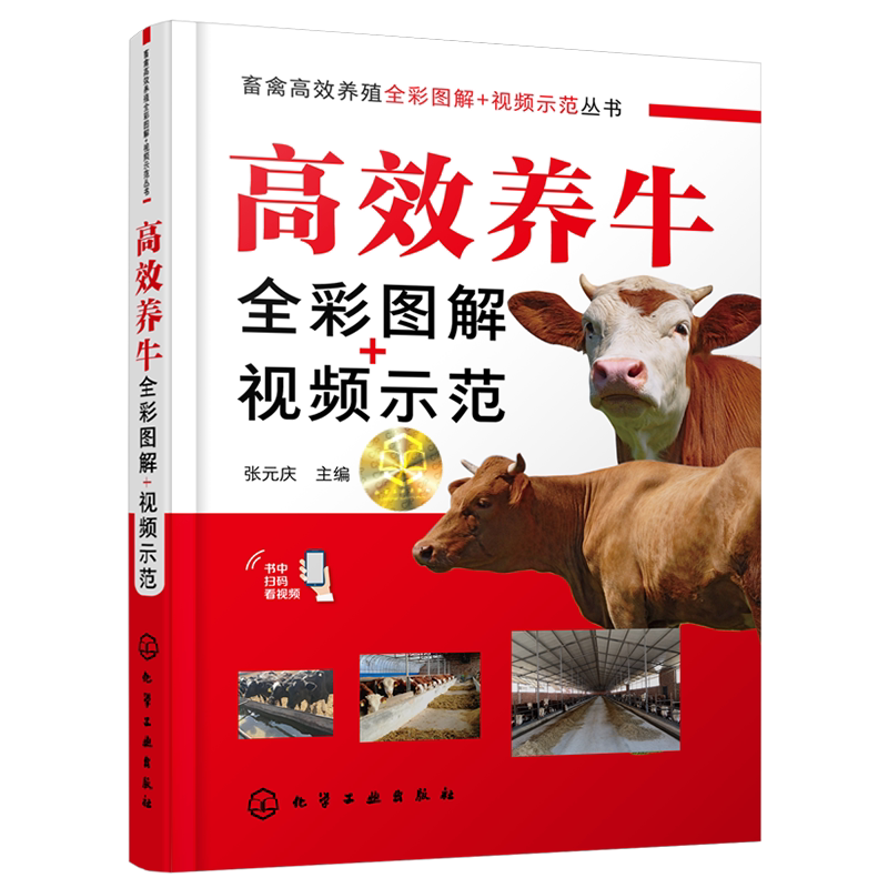 高效养牛全彩图解视频示范养牛技术书籍大全牛病类症鉴别与诊治书疾病防控知识肉牛养殖西门塔尔诊疗处方手册牛羊母牛饲料配方专业