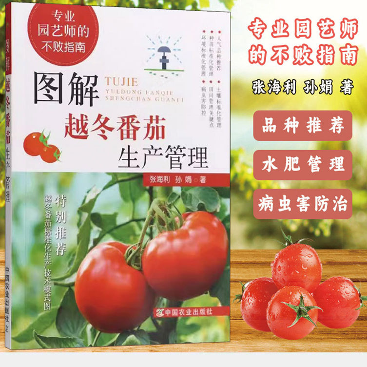 图解越冬番茄生产管理 专业园艺师的不败指南 越冬番茄对土壤的要求种苗标准化管理 番茄田间管理番茄种植生产技术指导 番茄种植书