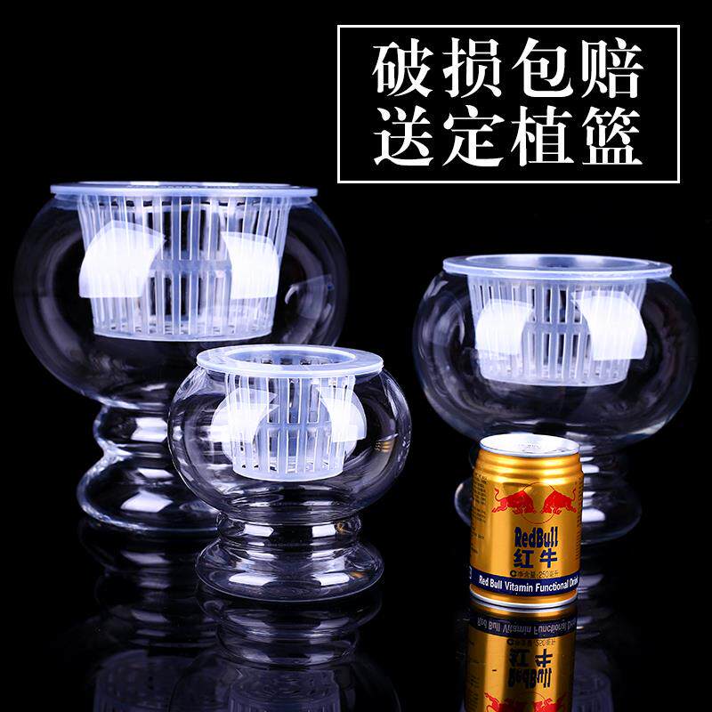 水培植物玻璃瓶 水培绿萝花瓶花盆玻璃圆球 送加深定植篮水培容器