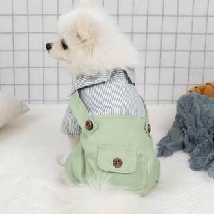 宠物狗狗夏季 春泰迪比熊博美雪纳瑞中小型幼犬 四脚衣服薄款 背带裤