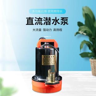 抽水机抽水泵高扬程喷射泵 云南厂家直流小型潜水泵移农用动式