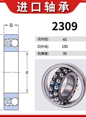 进口NSK调心球轴承2308 2309 2310 2311 2312 2313 2314 2315K C3