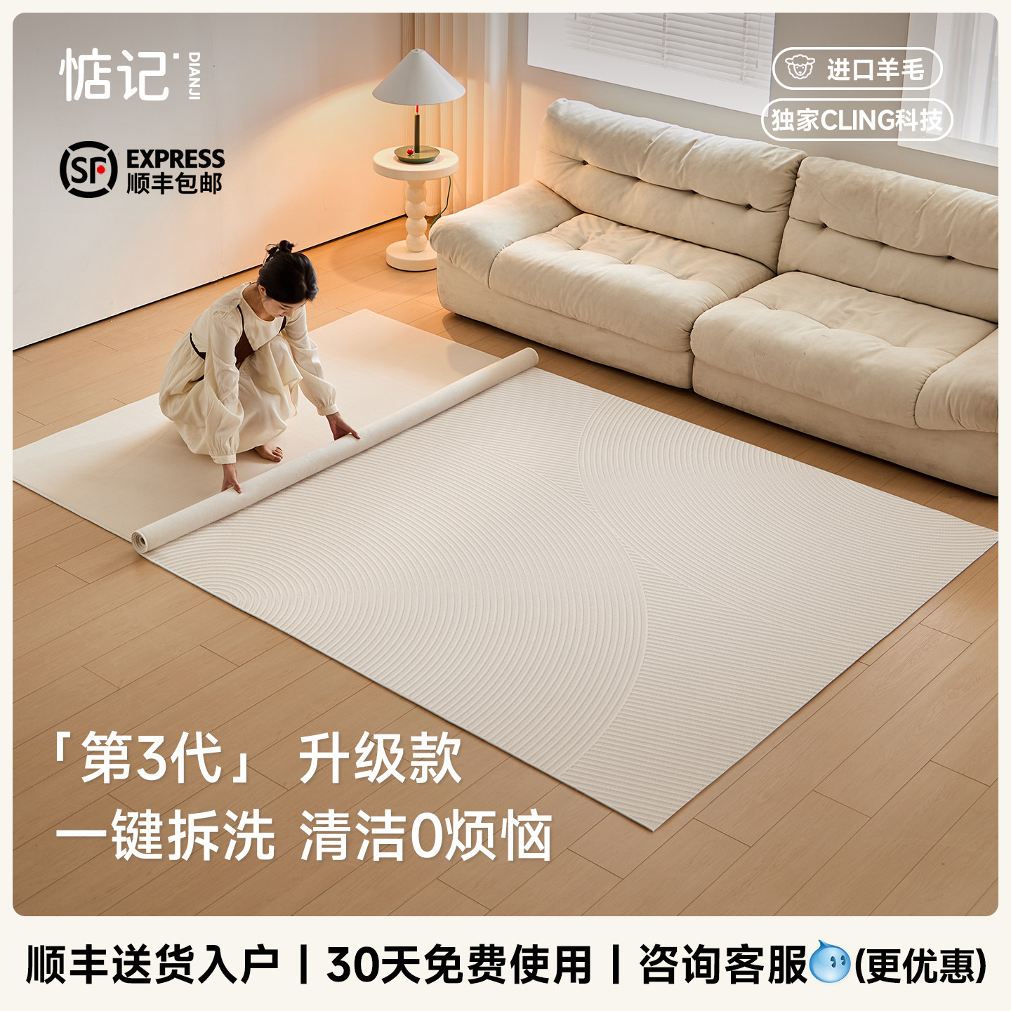 惦记可拆洗地毯进口羊毛现代大宅现代简约客厅轻奢无甲醛高级地垫