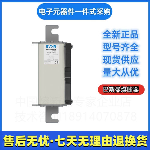 巴斯曼快速熔断器170M2108/2109